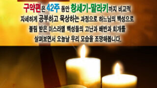 2010 기타 자료들